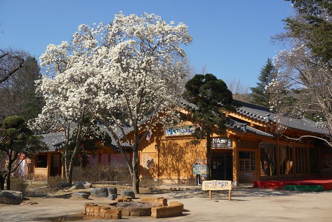 2 Days Private Tour : Mt Seorak & Naksansa Temple & Nami Island From Seoul - Transportation and Logistics