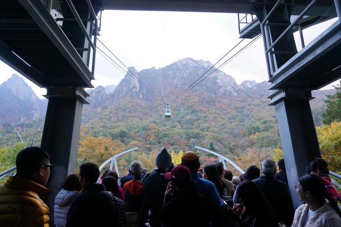 2 Days Private Tour : Mt Seorak & Naksansa Temple & Nami Island From Seoul - Reviews and Ratings