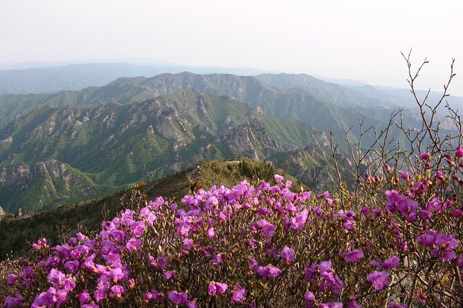2 Days Private Tour : Mt Seorak & Naksansa Temple & Nami Island From Seoul - Pricing and Booking Information