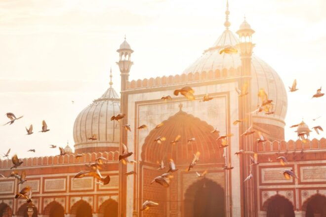 2 Days Private Tour of Old & New Delhi With Entrance Ticket - Experience Highlights