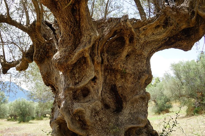 2 Days Private Tour: Sparta - Mystras - Mycenae - Epidaurus & Corinth - Common Questions