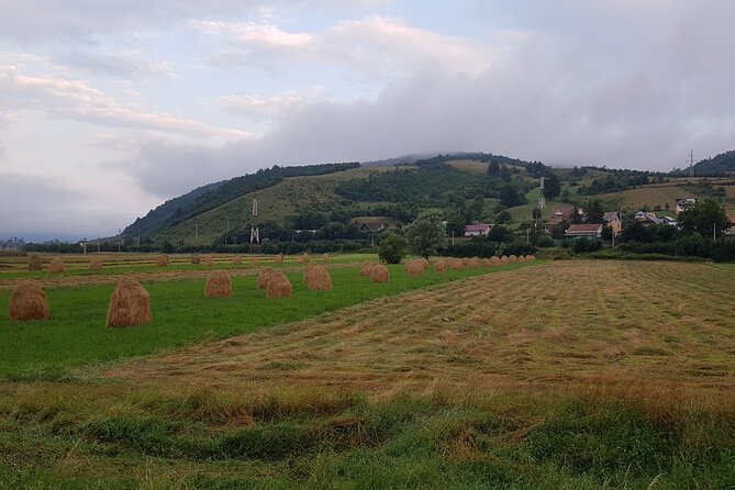 2 Days Private Tour - the Romanian Caves From Bucharest - What to Expect