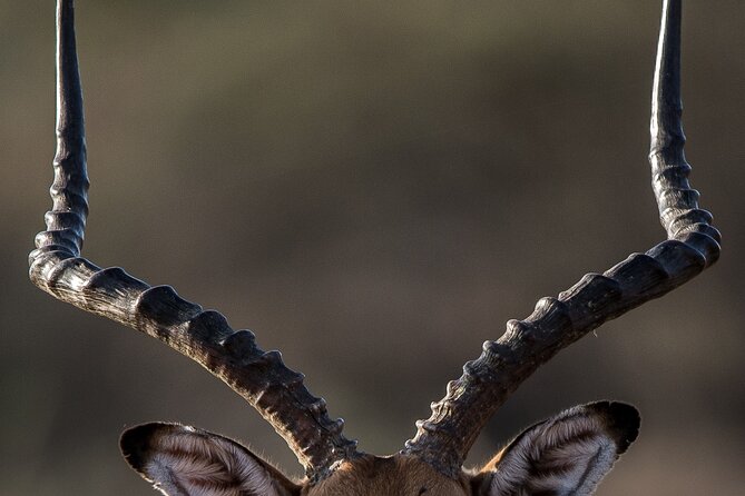 2-Days Private Tour to Ngorongoro Crater Safari From Arusha - Itinerary Details