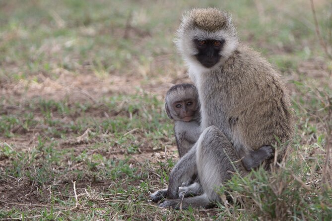 2-Days Private Tour to Ngorongoro Crater Safari From Arusha - Exclusions