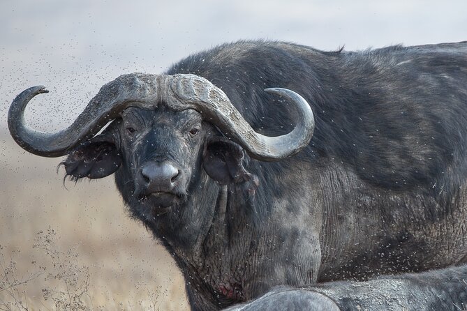 2-Days Private Tour to Ngorongoro Crater Safari From Arusha - Accommodation