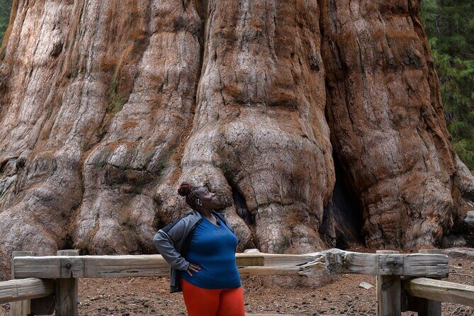 2 Days Private Tour to Sequoia and Kings Canyon Parks from LA - Good To Know