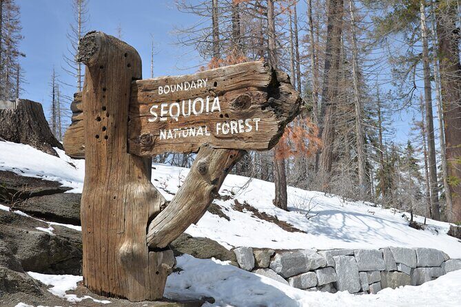 2 Days Private Tour to Sequoia and Kings Canyon Parks from LA - An In-Depth Look at the 2-Day Private Tour Experience