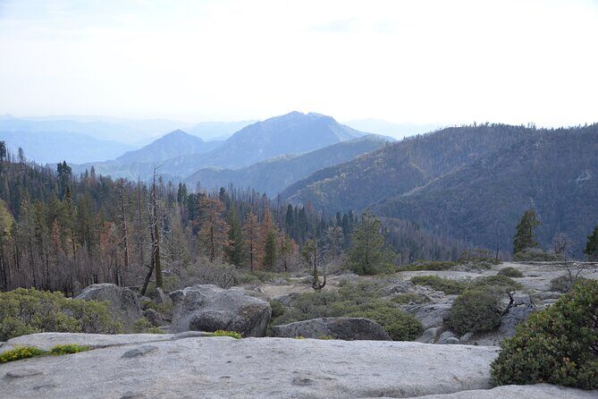 2 Days Private Tour to Sequoia and Kings Canyon Parks from LA - FAQ
