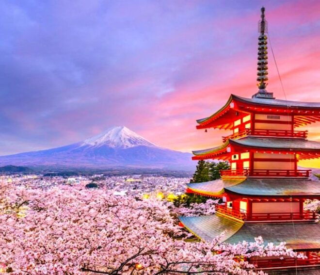 2-Days Private Tour Tokyo MT Fuji and Hakone With Guide - Duration and Schedule