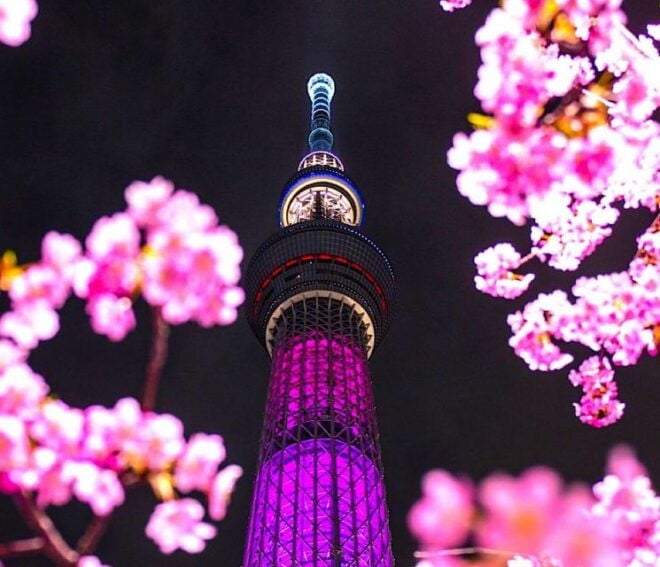 2-Days Private Tour Tokyo MT Fuji and Hakone With Guide - Check Availability