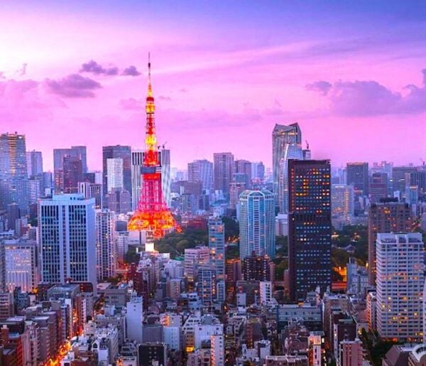 2-Days Private Tour Tokyo MT Fuji and Hakone With Guide - Tokyo Exploration