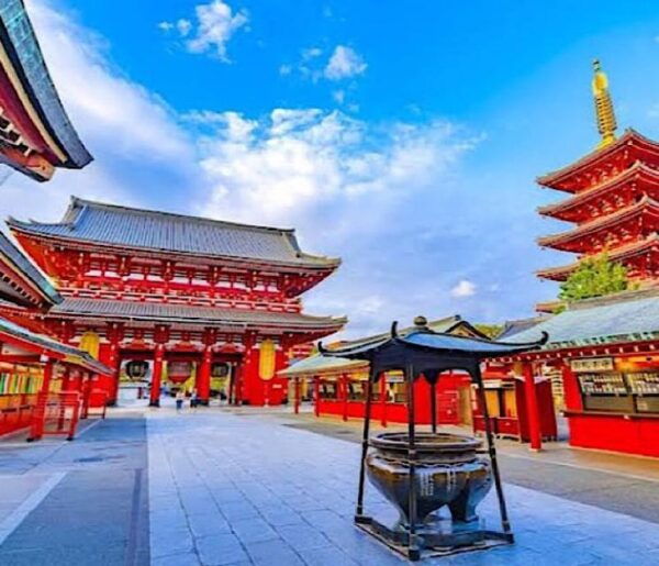 2-Days Private Tour Tokyo MT Fuji and Hakone With Guide - Hakone Discovery