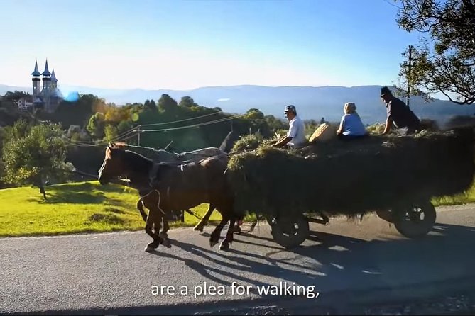 2 Days Private Tour Transfagarasan Road & Sibiu (June - October) From Bucharest - Itinerary Details