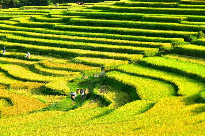 2 Days Pu Luong Offbeat Trekking Best for Mountain Lovers - The Sum Up