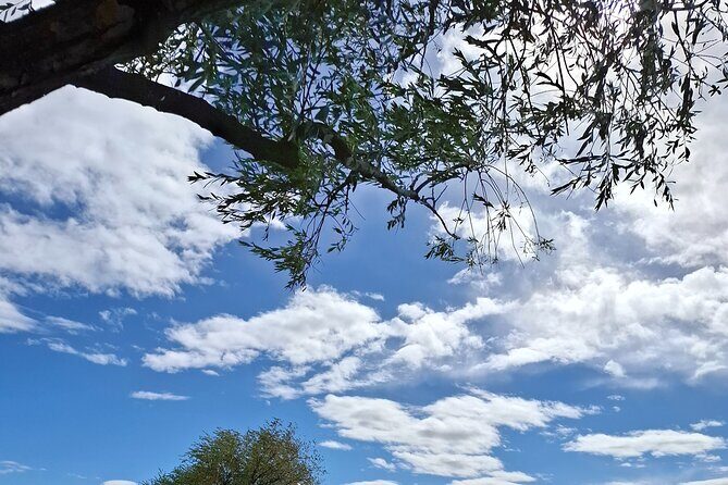 2 Days Queenstown Wanaka Private Tours from Dunedin - Good To Know