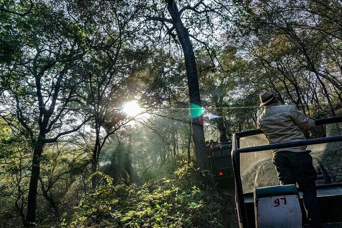 2 Days Ranthambore Wildlife Private Tour from Jaipur - What’s Included & What to Consider