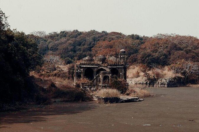 2 Days Ranthambore Wildlife Private Tour from Jaipur - Authentic Experiences & Expert Guides