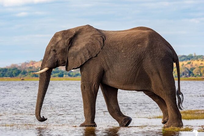 2 Days Safari – Tarangire NP & Ngorongoro Crater - Travel Logistics