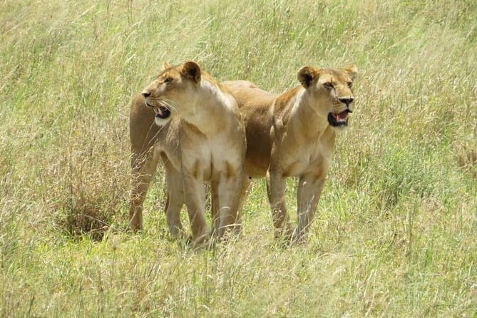 2 Days Safari – Tarangire NP & Ngorongoro Crater - Booking Information