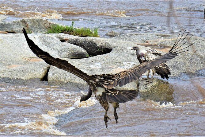 2 Days Safari Through Tarangire NP and Lake Manyara NP - The Sum Up