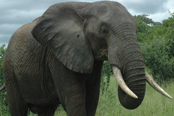 2 Days Safari To Mikumi National Park - Safety and Accessibility