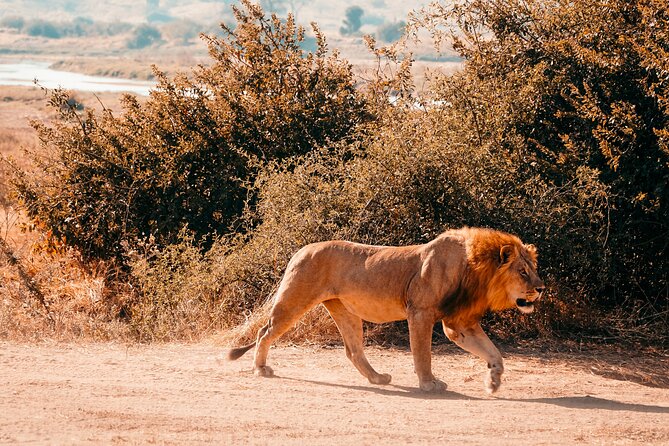 2 Days Safari to Selous National Park From Zanzibar - Cancellation Policy and Refunds