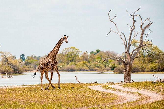 2 Days Safari to Selous National Park From Zanzibar - Weather Considerations