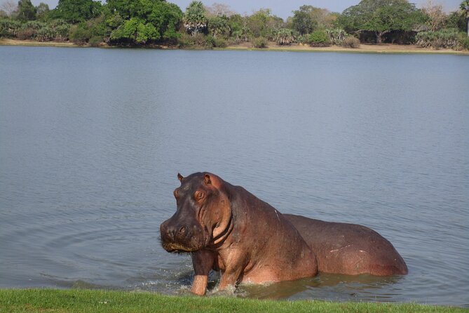 2 Days Safari to Selous National Park From Zanzibar - Additional Tips and Recommendations
