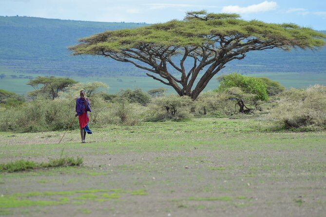 2 Days Safari to Tarangire National Park and Ngorongoro Crater - Pricing Details
