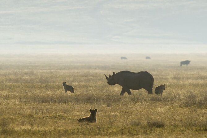 2 Days Safari Tour in Tarangire and Ngorongoro Crater - Meeting and Pickup Details