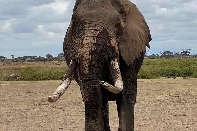 2 Days Safari Tsavo East - Accommodation Details