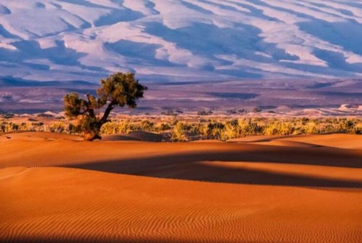 2-Days Sahara Desert Tour to Zagora (From Agadir/Taghazout) - Experience and Highlights