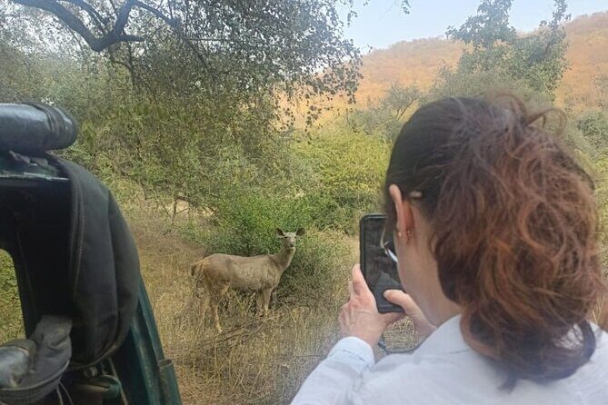 2 Days Sariska Wildlife and Heritage Escape from Delhi - Good To Know