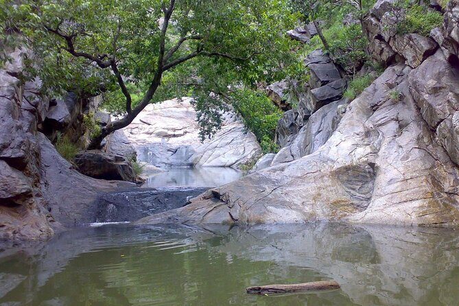 2 Days Sariska Wildlife and Heritage Escape from Delhi - What Makes This Tour Stand Out?