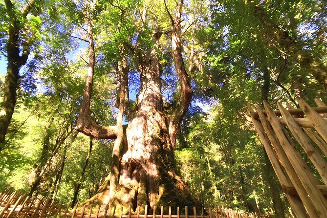 2 Days Smangus Adventure in Taiwan - Good To Know