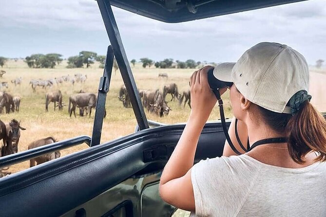 2 Days Tarangire and Ngorongoro Safari From Zanzibar - Meeting and Pickup Information