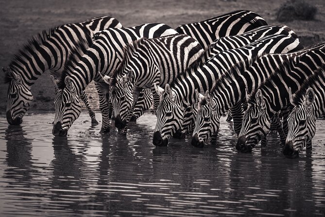 2 Days Tarangire and Ngorongoro Safari Tour in Tanzania - Booking Information