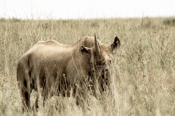 2 Days Tarangire and Ngorongoro Safari Tour in Tanzania - The Sum Up