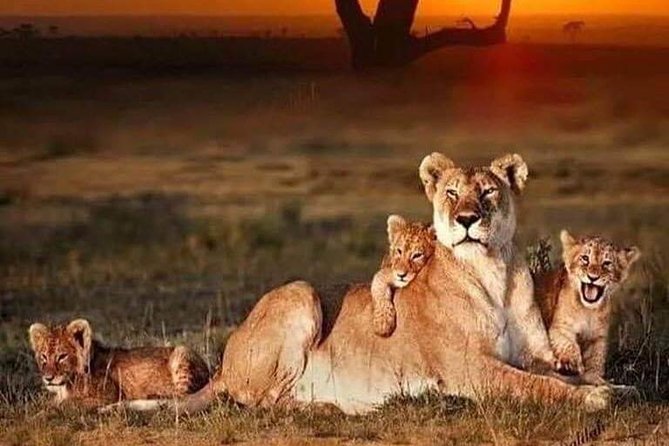 2 Days Tarangire & Ngorongoro Budget Camping Safari Tour Tanzania - Cancellation Policy