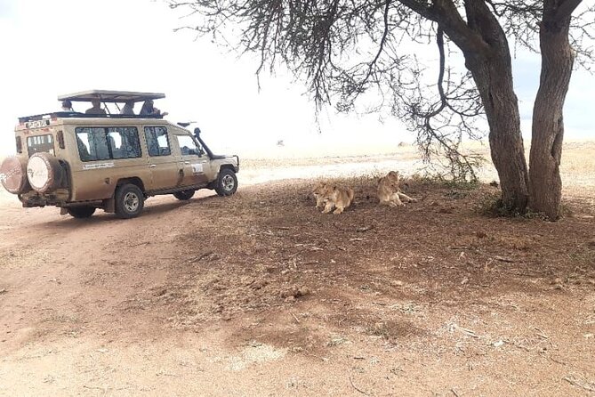 2 Days Tarangire & Ngorongoro Budget Safari Tour Tanzania - Frequently Asked Questions