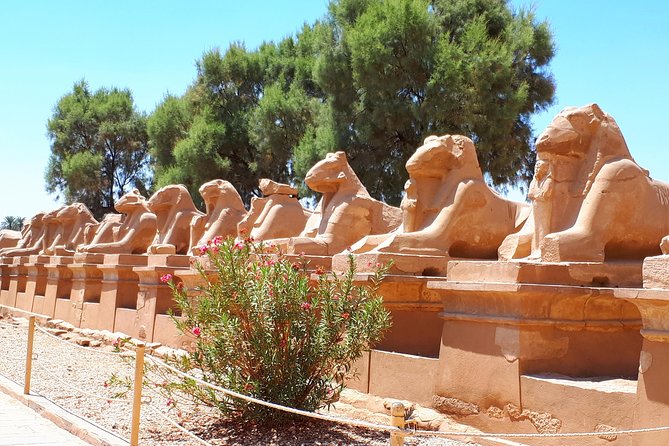 2 Days The Best of Luxor - Luxor Museum and King Tuts Artifacts