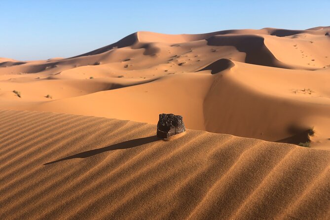 2 Days to Zagora Desert From Marrakech - Accessibility Details