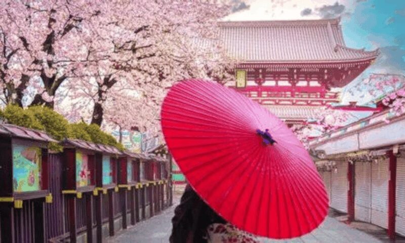 2 Days Tokyo, Mount Fuji Trip Private Guided Tour - Final Thoughts: Who Will Love This Tour?