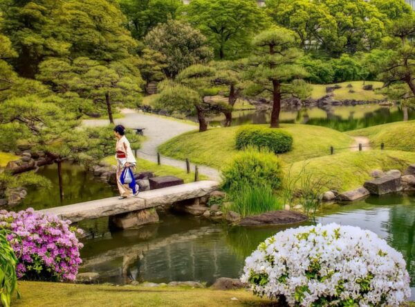 2 Days Tokyo&Kanagawa: Private Group Customized Walking Tour - Accessibility Information