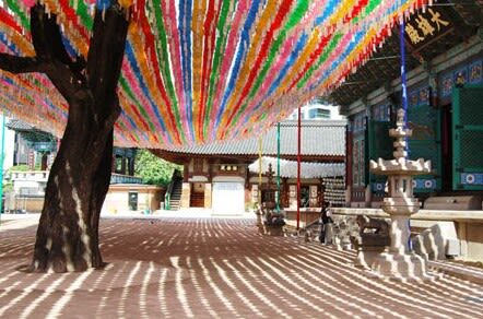 2 Days Top Attractions of Korea Tours (DMZ+Seoul City Tour) - Should you book it?