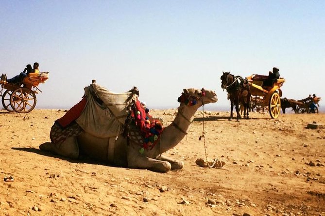 2 Days Tour Cairo and Giza With Sightseeing Tour With the Sound and Light Show - Meeting and Pickup Details