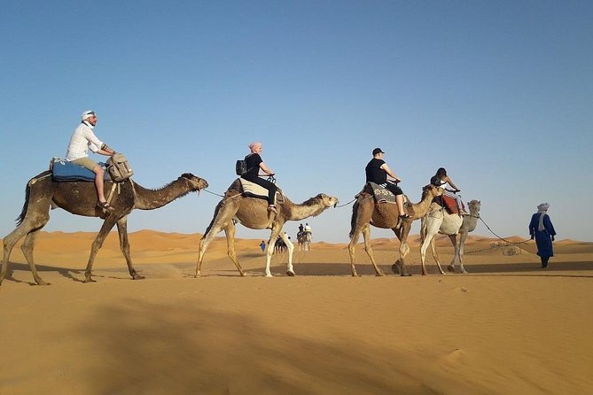 2-Days Tour From Marrakech To Zagora Desert & Kasbahs - Guided Tours