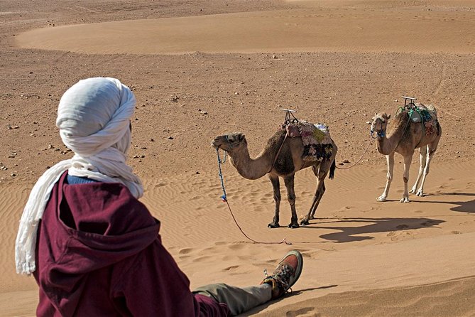 2-Days Tour From Marrakech to Zagora With Camel Trek - Good To Know