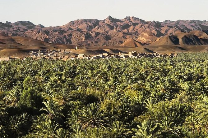 2-Days Tour From Marrakech to Zagora With Camel Trek - Customer Reviews