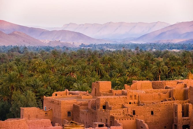 2 Days Tour From Marrakech, Zagora Desert Camp - Desert Camp Activities